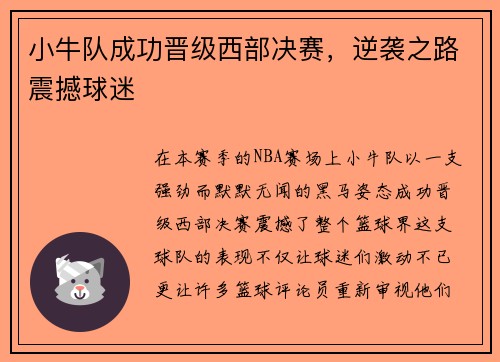 小牛队成功晋级西部决赛，逆袭之路震撼球迷